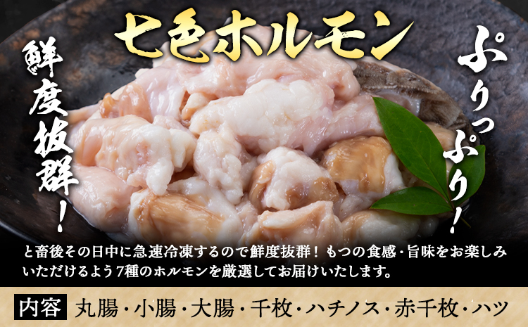 七色ホルモン もつ鍋セット にんにく醤油味 15人前 1.5kg 株式会社中山家《30日以内に出荷予定(土日祝除く)》小竹町 博多和牛 もつ鍋 ホルモン 丸腸 小腸 大腸 千枚 ハチノス 赤千枚 ハツ---sc_fnkynh_30d_r7_13500_15p_sy---