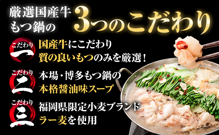 もつ鍋 もつ鍋セット10人前(2人前×5セット)  本格醤油味 ちゃんぽん付き 国産牛小腸100％使用 送料無料《30日以内に出荷予定(土日祝除く)》 牛もつ 唐辛子 ニンニク セット 博多 国産 ヤマタカ醤油 牛 冷凍食品 冷凍 鍋 鍋セット---ktk_ftmtnbk_30d_25_12000_10i---