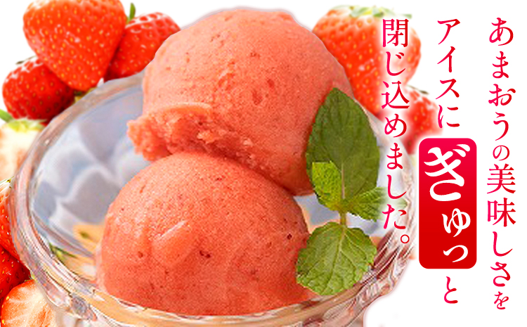 濃厚あまおうジェラート 1000ml 南国フルーツ株式会社《4月上旬-4月末頃出荷》福岡県 小竹町 あまおう いちご ジェラート 果物 送料無料---sc_fnngknk_ac4_26_13500_1kg---
