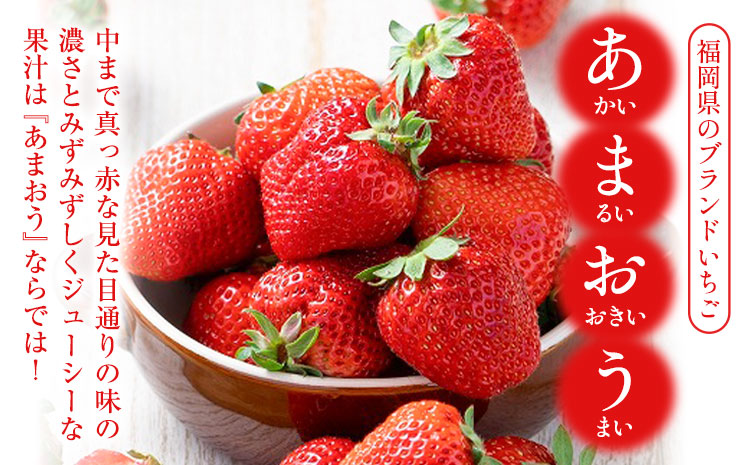 【2026年度出荷】福岡県産 冷凍あまおう2kg(500g×4袋) 南国フルーツ株式会社《12月中旬-3月末頃出荷》福岡県 小竹町 あまおう いちご イチゴ 送料無料【配送不可地域あり】---sc_fnngkam_bc123_26_21500_2kg---