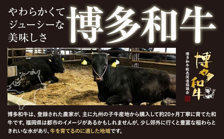 博多和牛 上スライス 450g 有限会社堀田農産 堀ちゃん牧場《60日以内に出荷予定(土日祝除く)》福岡県 小竹町 牛 和牛 牛肉 スライス しゃぶしゃぶ すき焼き 牛丼---sc_fhtns_60d_r7_17500_450g---