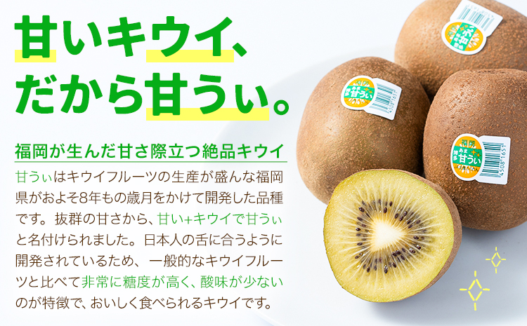 キウイ 甘うぃ 約3kg 南国フルーツ株式会社【26年度出荷】《10月下旬-11月末頃出荷》福岡県 小竹町 あまおう 福岡県産 キウイ フルーツ キウイフルーツ 果物---sc_nngka_cf10_26_16500_33i---