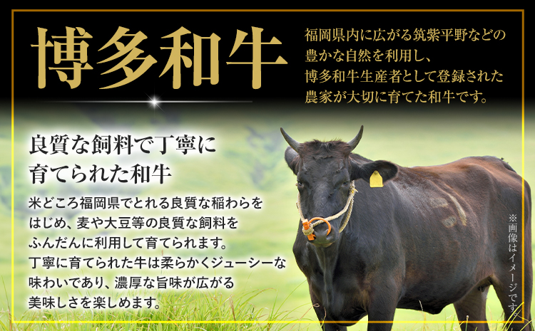 牛肉 博多和牛 100％ ミンチ 900g 株式会社木村食品《30日以内に出荷予定(土日祝除く)》小竹町 博多和牛 牛肉 牛ミンチ ハンバーグ キーマカレー 300g 小分け---sc_fhktmc_30d_25_13000_900g---