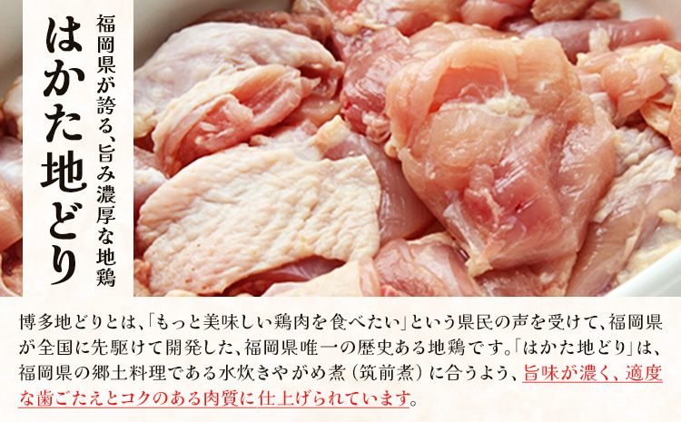 炊き込みご飯の素 博多かしわめし 2-3人前 株式会社JSE《30日以内に出荷予定(土日祝除く)》福岡県 鞍手郡 小竹町混ぜ込みご飯 炊き込みご飯 簡単 鶏飯 送料無料---isc_jseakrmn_30d_25_4500_23m---