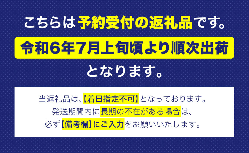 フレッシュブルーベリー  1kg　数量限定 予約受付　【着日指定不可 】《7月上旬-8月中旬頃出荷(土日祝除く)》フルーツ 未冷凍---sc_cyamablue_ae7_r7_16500_1kg---