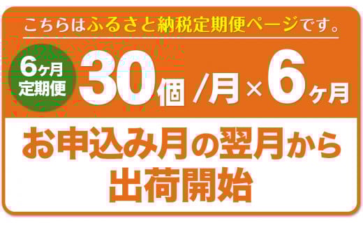 【6ヶ月定期便】畠中育雛場のげんきタマゴん 30個《お申込み月の翌月から出荷開始》卵 有限会社畠中育雛場---isc_chniseggtei_r7_47000_mo6num1---