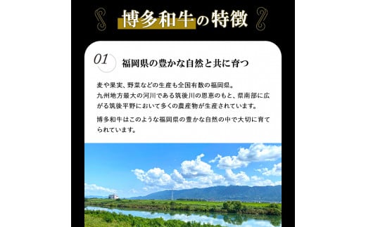 A4ランク 博多和牛 焼肉用肩ロース＆すき焼き用もも肉 食べ比べ(計約900g) 《30日以内に出荷予定(土日祝除く)》 ---sc_fyuc1hwslm_30d_r7_27000_900g---