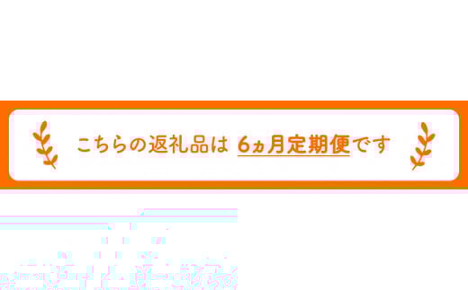 【6ヶ月定期便】コーヒー豆3種のセット 各100g(豆) 計300g 《お申込み月の翌月から出荷開始》 旬 オリジナルブレンド ---sc_utawbtei_r7_48000_mo6num1---