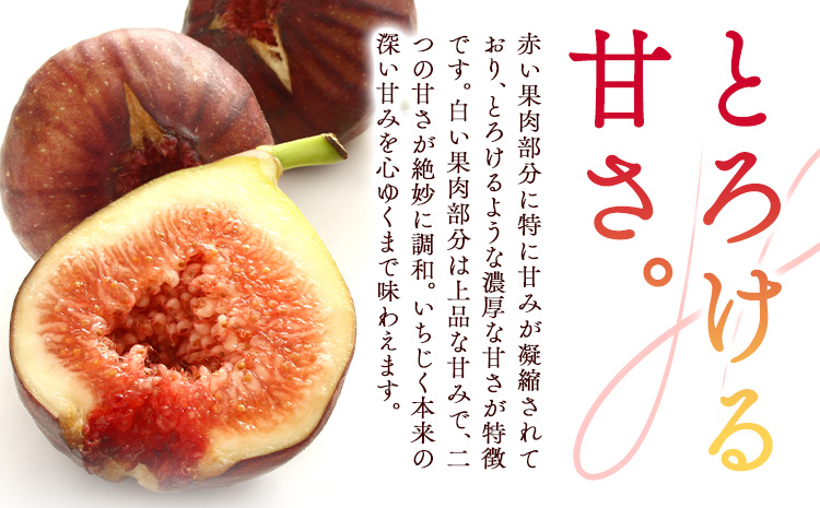 いちじく 無花果 とよみつひめ 280g×4パック《8月中旬-10月中旬頃出荷》福岡県 小竹町 福岡県産 いちじく フルーツ 果物---sktk_ctymt_26_q810_9500_1120g---