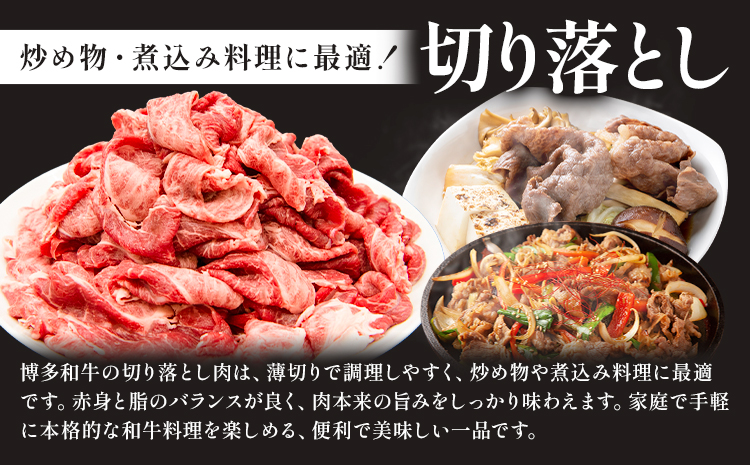 博多和牛 切り落とし 500g 地域商社ふるさぽ《90日以内に出荷予定(土日祝除く)》福岡県 小竹町 博多 和牛 牛肉 肉 切り落とし---skt_ffshwkr_90d_26_13500_500g---