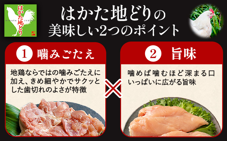 鶏肉 はかた地どり モモムネセット もも肉 むね肉 2kg 《30日以内に出荷予定(土日祝除く)》 株式会社MEAT PLUS 福岡県 鞍手郡 小竹町 地鶏 鶏肉 とり肉---sc_fhktc_30d_r7_15500_2kg---