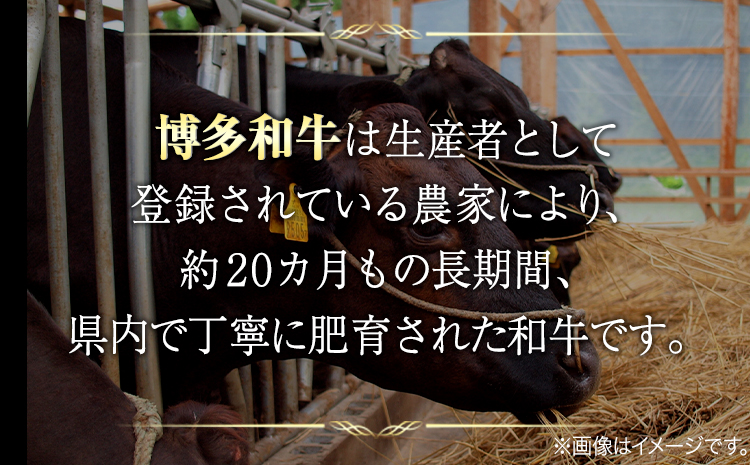 博多和牛モモブロック 約500g～600g 株式会社MEAT PLUS《30日以内に出荷予定(土日祝除く)》福岡県 鞍手郡 小竹町 博多和牛 和牛 牛肉 モモ モモ肉 ブロック肉---sc_fmphktmmb_30d_r7_13000_600g---