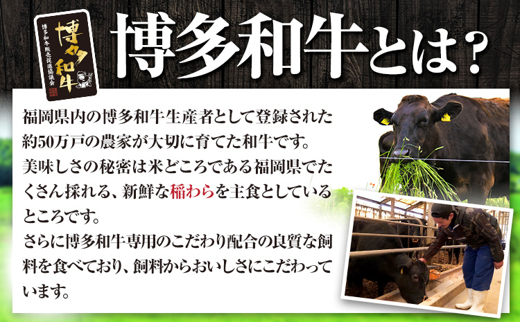 博多和牛 ヒレシャトーブリアンステーキ 1kg 久田精肉店株式会社《30日以内に出荷予定(土日祝除く)》小竹町 博多和牛 牛肉 赤身 A5等級 厳選 シャトーブリアン ステーキ 国産 送料無料---sc_fhsdgsb_30d_r7_200000_1kg---