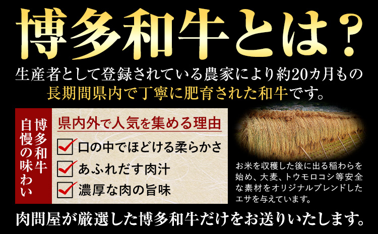 博多和牛 赤身 のみ 切り落とし 合計 800g 株式会社中山家《30日以内に出荷予定(土日祝除く)》小竹町 博多和牛 牛肉 赤身肉 牛 すき焼き 牛丼 和牛 ご家庭用---sc_fnkyhwakm_30d_r7_16000_800g---