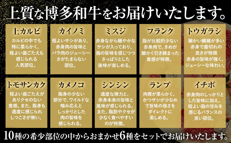 博多和牛 希少部位 おまかせ 6種 セット 株式会社木村食品《30日以内に出荷予定(土日祝除く)》小竹町 博多和牛 牛肉 焼肉用 焼肉 カルビ 上カルビ カイノミ ミスジ フランク トウガラシ トモサンカク カメノコ シンシン ランプ イチボ 和牛 希少---sc_fkmrhkt_30d_r7_17500_6i---