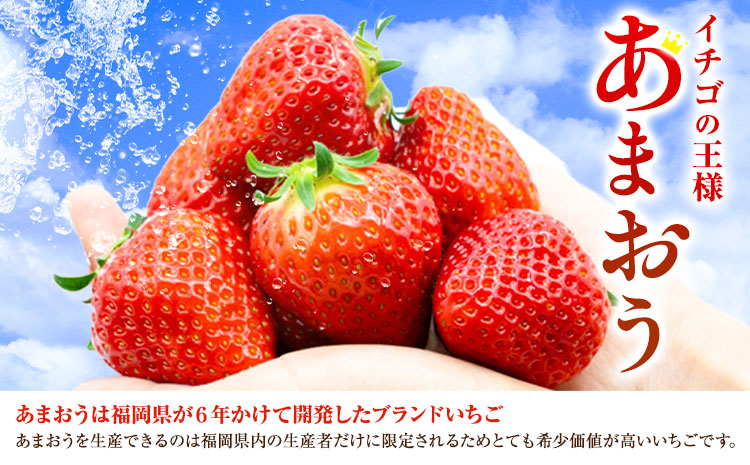 福岡県産あまおう & ふくや味の明太子 200g 南国フルーツ株式会社《12月上旬-3月末頃出荷》福岡県 小竹町 あまおう いちご めんたいこ 明太子 セット 送料無料【配送不可地域あり】---sc_cnngkaf_af123_r7_18000_200g---