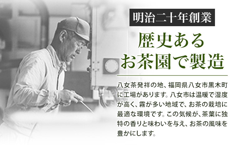 八女茶 ティーバッグ 200g 100パック 入り《30日以内に発送予定(土日祝日除く)》福岡県 小竹町 八女産 煎茶 日本茶 水出し 冷茶 送料無料---fn_ktymctb_30d_r7_4000_100i---