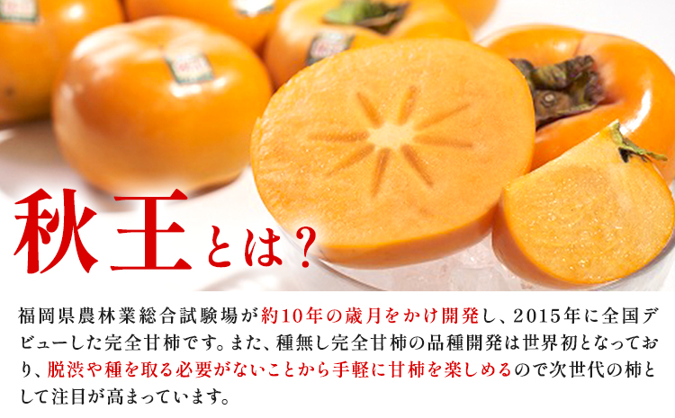柿 秋王 約1.5kg（4-6玉） 南国フルーツ株式会社 【26年度出荷】《10月中旬-11月末頃出荷》福岡県 小竹町 福岡県産 柿 フルーツ 果物---sc_cnngka_bc10_26_17500_6i---