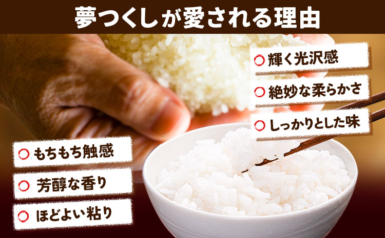 令和7年度産 夢つくし パックご飯 48パック 24パック×2箱《30日以内に出荷予定(土日祝除く)》 ---sc_hfbymgp_30d_25_24500_48p---