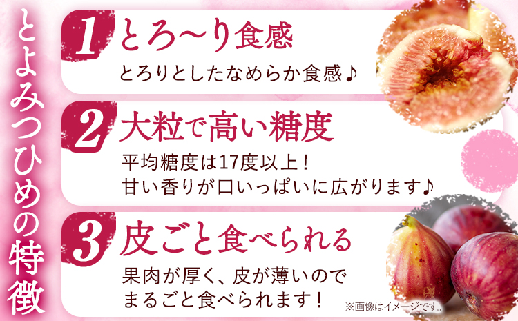 【☆2026年出荷☆】いちじく とよみつひめ 約1.2kg(約300g×4パック)【配送不可地域あり】【日付指定不可】《8月中旬-9月末頃出荷(土日祝除く)》---isc_cbftymt_bc8_26_11000_1200g---　|　いちじくいちじくとよみつひめいちじくいちじくとよみつひめいちじくいちじくとよみつひめいちじくいちじくとよみつひめいちじくいちじくとよみつひめいちじくいちじくとよみつひめいちじくいちじくとよみつひめいちじくいちじくとよみつひめ