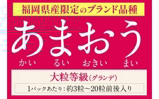★2026年出荷分★【先行予約】いちご あまおう 1620g (約270g×6パック) 苺 【着日指定不可】《2月中旬-4月末頃出荷予定》 イチゴ 果物 フルーツ  ---fn_ckrama_2c4m_25_14000_1620g---