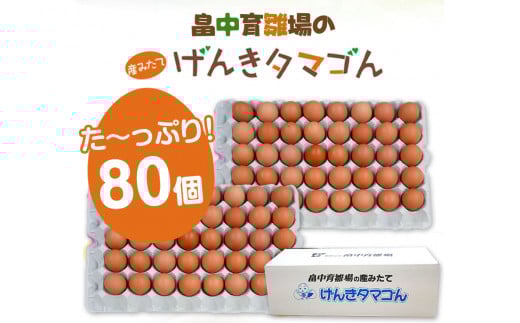 畠中育雛場のげんきタマゴん 80個 《30日以内に出荷予定(土日祝除く)》福岡県 鞍手郡 小竹町 卵 送料無料 有限会社畠中育雛場---isc_chnisegg_30d_r7_13000_80p---