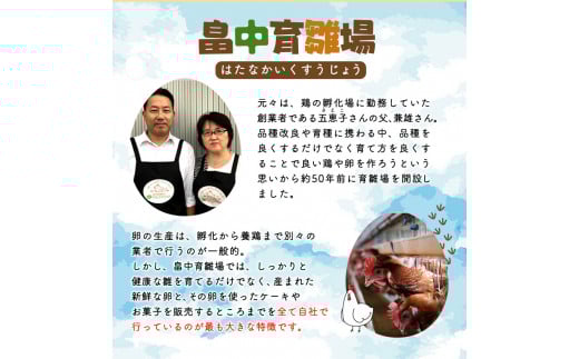 【6ヶ月定期便】畠中育雛場のげんきタマゴん 30個《お申込み月の翌月から出荷開始》卵 有限会社畠中育雛場---isc_chniseggtei_r7_47000_mo6num1---