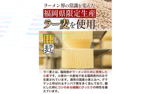ラーメン らーめん 博多の赤だれ豚こつラーメン 2食入り《30日以内に出荷予定(土日祝除く)》福岡県 豚骨ラーメン とんこつ 豚骨 ---isc_jseakrmn_30d_r7_3000_2i---