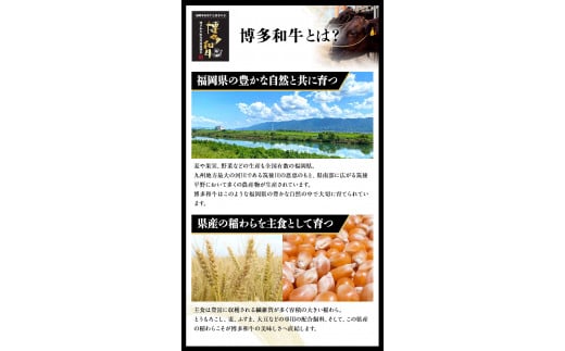 A4・A5等級のみ使用 博多和牛 ヒレステーキ 300g（100g×3枚）ヒレ 希少部位《30日以内に出荷予定(土日祝除く)》 牛肉---sc_fckzhwhs_30d_r7_30000_3p---