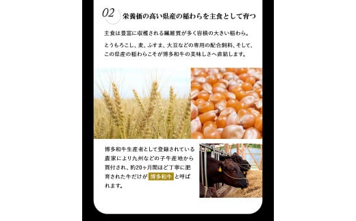 A4ランク 博多和牛 焼肉用肩ロース＆すき焼き用もも肉 食べ比べ(計約900g) 《30日以内に出荷予定(土日祝除く)》 ---sc_fyuc1hwslm_30d_r7_27000_900g---