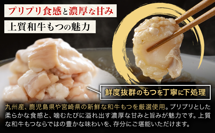 もつ鍋 醤油味 セット 薬味付き ちゃんぽん麵 博多笑樂 2～3人前 地域商社ふるさぽ《90日以内に出荷予定(土日祝除く)》福岡県 鞍手郡 小竹町 もつ 鍋 牛モツ 醤油---sc_ffshktsym_90d_26_17000_ss---