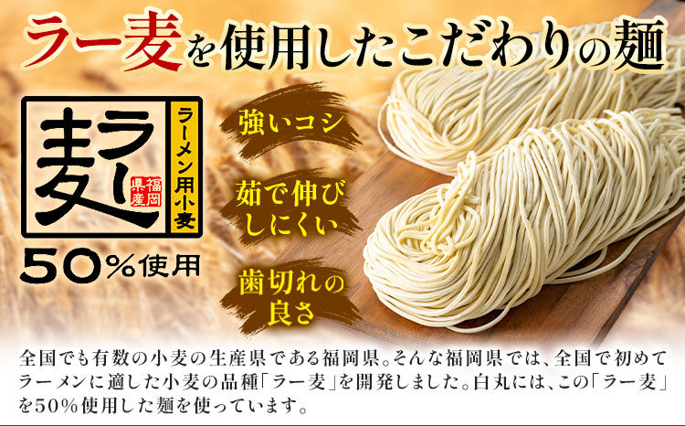 ラーメン 一風堂 白丸 ラー麦麺 12食 地域商社ふるさぽ《90日以内に出荷予定(土日祝除く)》福岡県 鞍手郡 小竹町 ラーメン とんこつ 豚骨スープ 豚骨ラーメン ラー麦 麺---sc_fsipdr_90d_26_15500_12s---