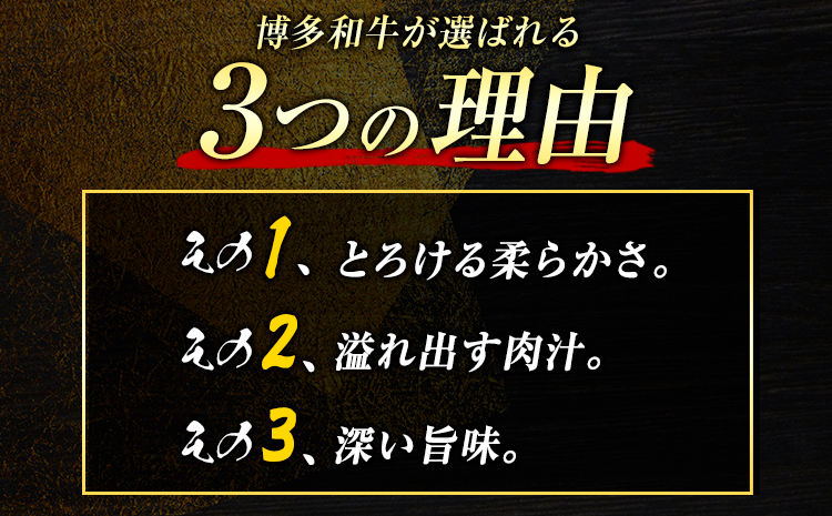 博多和牛サーロインステーキセット 500g 250g×2枚 株式会社MEAT PLUS《30日以内に出荷予定(土日祝除く)》福岡県 鞍手郡 小竹町 博多和牛 和牛 牛肉 サーロイン ステーキ サーロインステーキ---sc_fmpsrin_30d_r7_17500_500g---