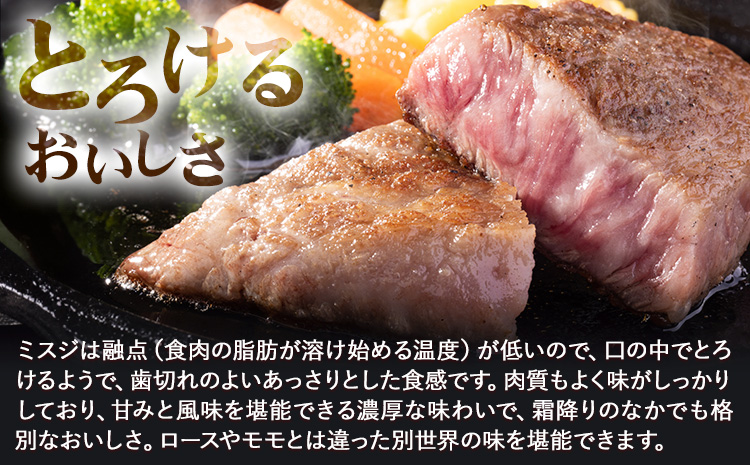 希少部位 博多和牛ミスジ ステーキ 500g 株式会社MEAT PLUS《30日以内に出荷予定(土日祝除く)》福岡県 鞍手郡 小竹町 博多和牛 和牛 牛肉 ステーキ肉 肉 牛 真空パック 個包装---sc_fmphtm_30d_r7_16500_500g---