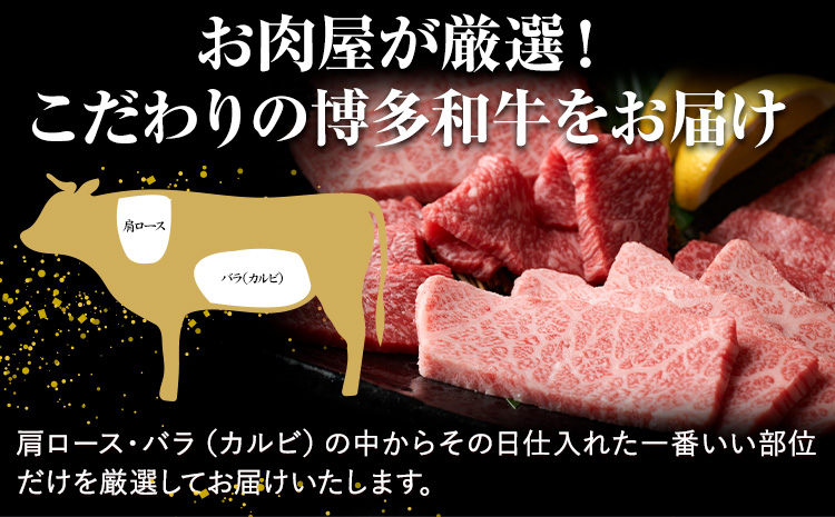 訳あり 博多和牛 A5 A4 焼肉用 500g 株式会社MEAT PLUS《30日以内に出荷予定(土日祝除く)》福岡県 鞍手郡 小竹町 博多和牛 和牛 牛肉 肩ロース バラ カルビ 焼き肉 バーベキュー---sc_fmphtyk_30d_r7_14000_500g---