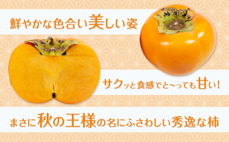 秋王 約1.7kg《11月上旬-11月末頃出荷》福岡県 鞍手郡 小竹町 柿 かき カキ 種なし 種無し 福岡県産 果物 くだもの フルーツ 【配送不可地域あり】---isc_clfkao_ac11_26_13000_1700g---