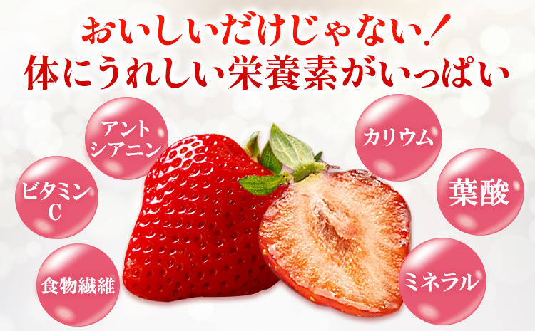 福岡県産 冷凍あまおう 小分けパック 1kg(250g×4袋) 株式会社木村食品《30日以内に出荷予定(土日祝除く)》福岡県 小竹町 冷凍あまおう いちご 冷凍フルーツ 果物 送料無料---sc_fkmramo_30d_r7_11500_1kg---