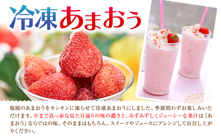 【2026年度出荷】福岡県産 冷凍あまおう1kg(500g×2袋) 南国フルーツ株式会社《12月中旬-3月末頃出荷》福岡県 小竹町 あまおう いちご イチゴ 送料無料【配送不可地域あり】---sc_fnngkam_bc123_26_14000_1kg---