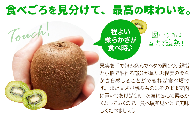 キウイ 甘うぃ 約3kg 南国フルーツ株式会社【26年度出荷】《10月下旬-11月末頃出荷》福岡県 小竹町 あまおう 福岡県産 キウイ フルーツ キウイフルーツ 果物---sc_nngka_cf10_26_16500_33i---