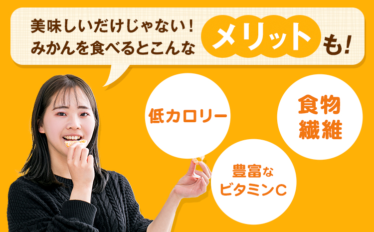みかん 早味かん 約2kg 南国フルーツ株式会社【26年度出荷】《9月中旬-9月下旬頃出荷》福岡県 小竹町 福岡県産 みかん 早味かん フルーツ 果物---sc_nngkw_b9_26_12000_2kg---