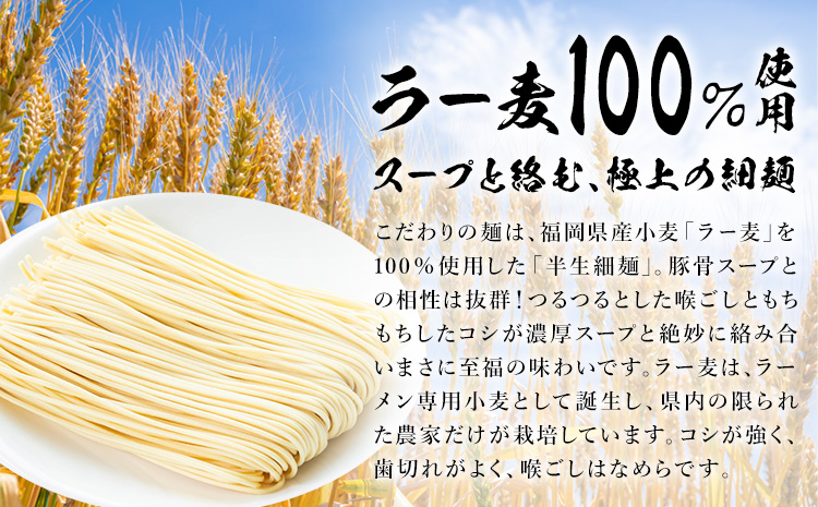ラーメン ふくの家 ラーメン4食 株式会社JSE《30日以内に出荷予定(土日祝除く)》福岡県 鞍手郡 小竹町 麺 豚骨ラーメン とんこつ 豚骨 久留米ラーメン 送料無料---isc_jseakrmn_30d_25_5000_4s---