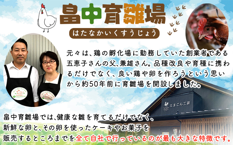 特選卵とカステラの詰め合わせA 《30日以内に出荷予定(土日祝除く)》卵 カステラ かすてら 詰め合わせ 有限会社畠中育雛場---isc_chnistumea_30d_r7_12500_4p---