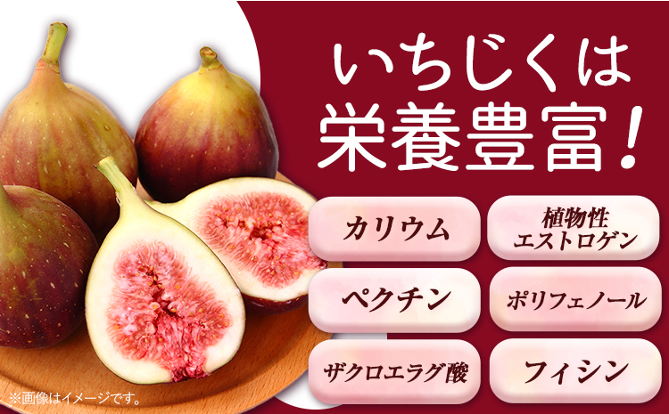 【☆2026年出荷☆】いちじく とよみつひめ 約1.2kg(約300g×4パック)【配送不可地域あり】【日付指定不可】《8月中旬-9月末頃出荷(土日祝除く)》---isc_cbftymt_bc8_26_11000_1200g---　|　いちじくいちじくとよみつひめいちじくいちじくとよみつひめいちじくいちじくとよみつひめいちじくいちじくとよみつひめいちじくいちじくとよみつひめいちじくいちじくとよみつひめいちじくいちじくとよみつひめいちじくいちじくとよみつひめ