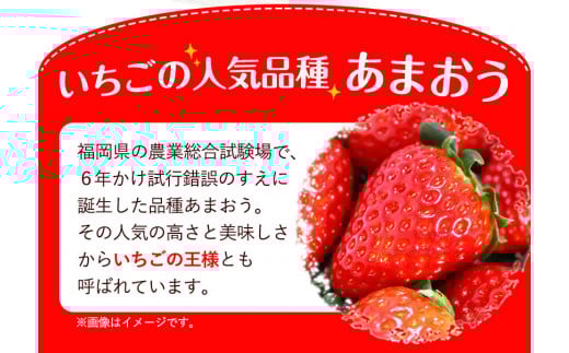 ★2026年出荷分★【先行予約】いちご あまおう 1620g (約270g×6パック) 苺 【着日指定不可】《2月中旬-4月末頃出荷予定》 イチゴ 果物 フルーツ  ---fn_ckrama_2c4m_25_14000_1620g---