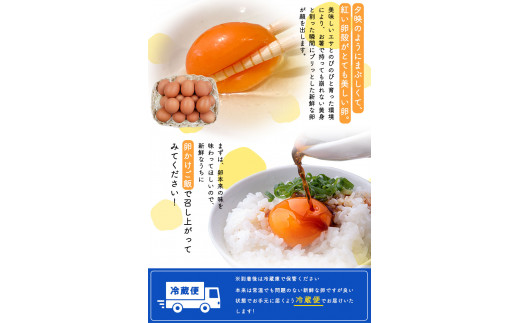 畠中育雛場のげんきタマゴん 80個 《30日以内に出荷予定(土日祝除く)》福岡県 鞍手郡 小竹町 卵 送料無料 有限会社畠中育雛場---isc_chnisegg_30d_r7_13000_80p---