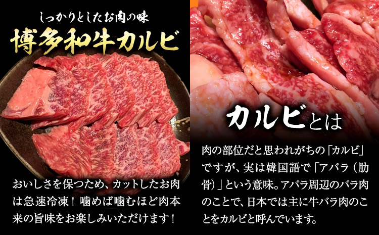 博多和牛 カルビ 特上 500g 株式会社寛大グループ 《30日以内に出荷予定(土日祝除く)》 肉 福岡県 小竹町 にく---sc_fknditk_30d_r7_18500_500g---