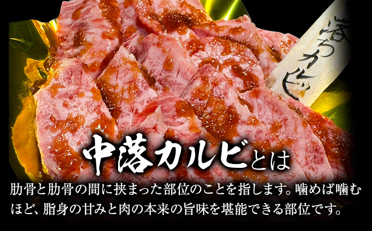 博多和牛 自家製 タレ漬け 中落 カルビ 500g 株式会社寛大グループ《30日以内に出荷予定(土日祝除く)》カルビ 肉 福岡県 小竹町 にく 中落ち 焼肉 赤身 真空パック---sc_fkndik_30d_r7_13500_500g---