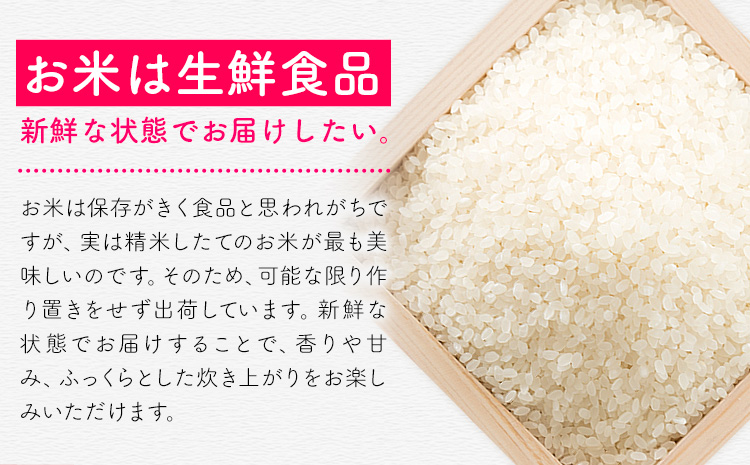 夢つくし 令和7年産 米 5kg 白米《7-14日以内に出荷予定(土日祝除く)》 福岡県 小竹町 お米 白米 国産---ktk_yumeh_wx_26_10500_5kg---