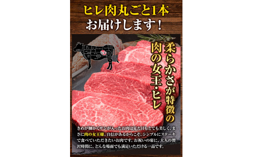 博多和牛 ヒレ肉丸ごと1本 約3.5kg 久田精肉店株式会社《30日以内に出荷予定(土日祝除く)》---sc_chsdhire_30d_r7_250000_3500g---