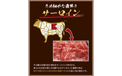 A5等級 博多和牛サーロインしゃぶしゃぶ用500g《30日以内に出荷予定(土日祝除く)》 牛肉 サーロイン しゃぶしゃぶ---sc_fckz5hwss_30d_r7_30000_500g---